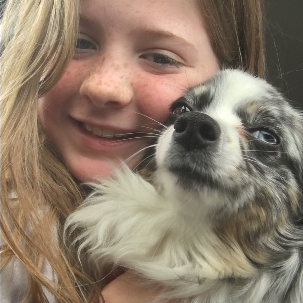 Meet your Posher, Julie